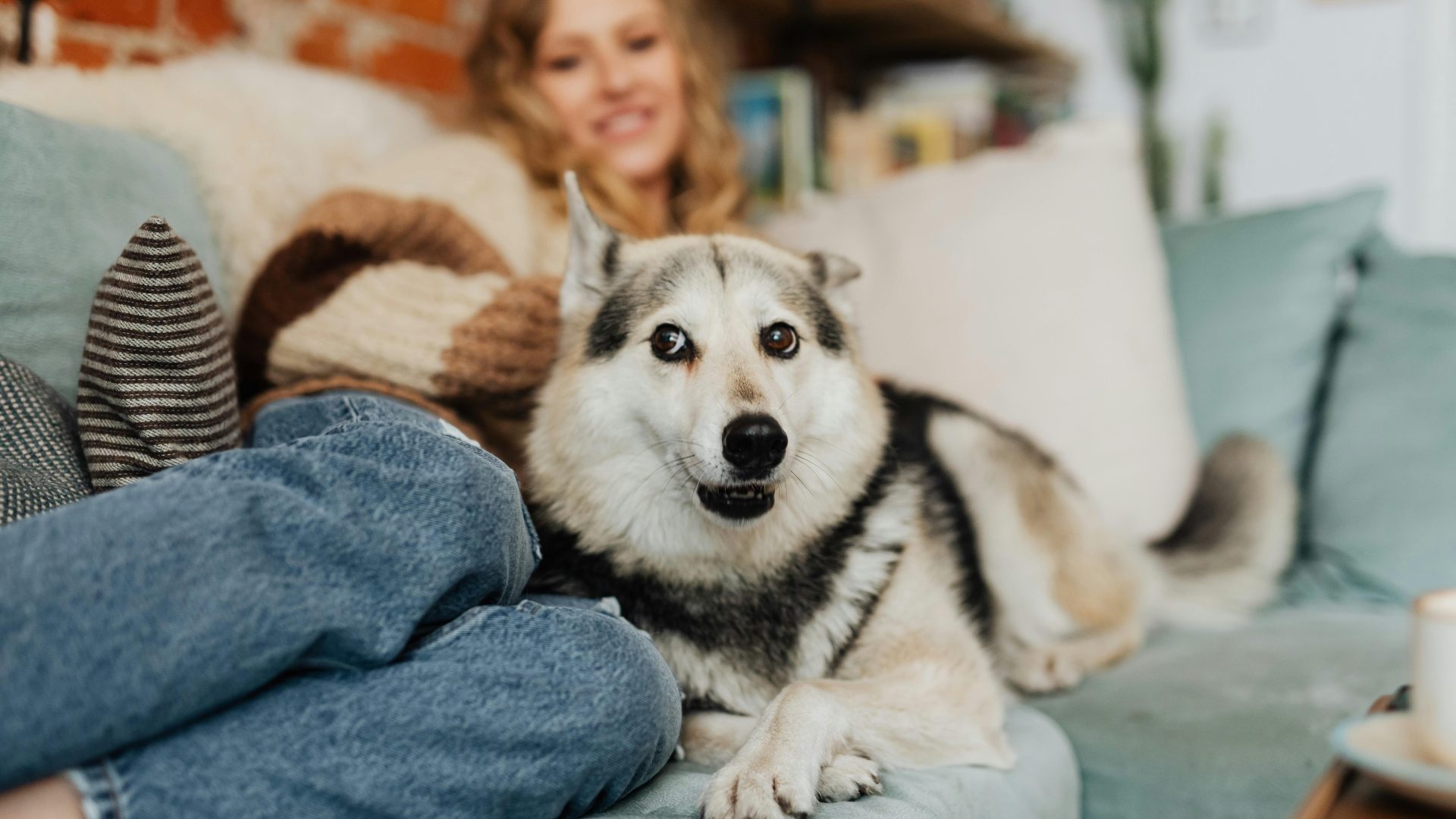 We Love Your Pets at Panther Hollow
