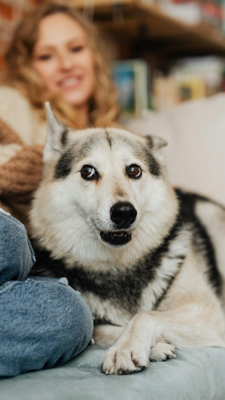 We Love Your Pets at Panther Hollow