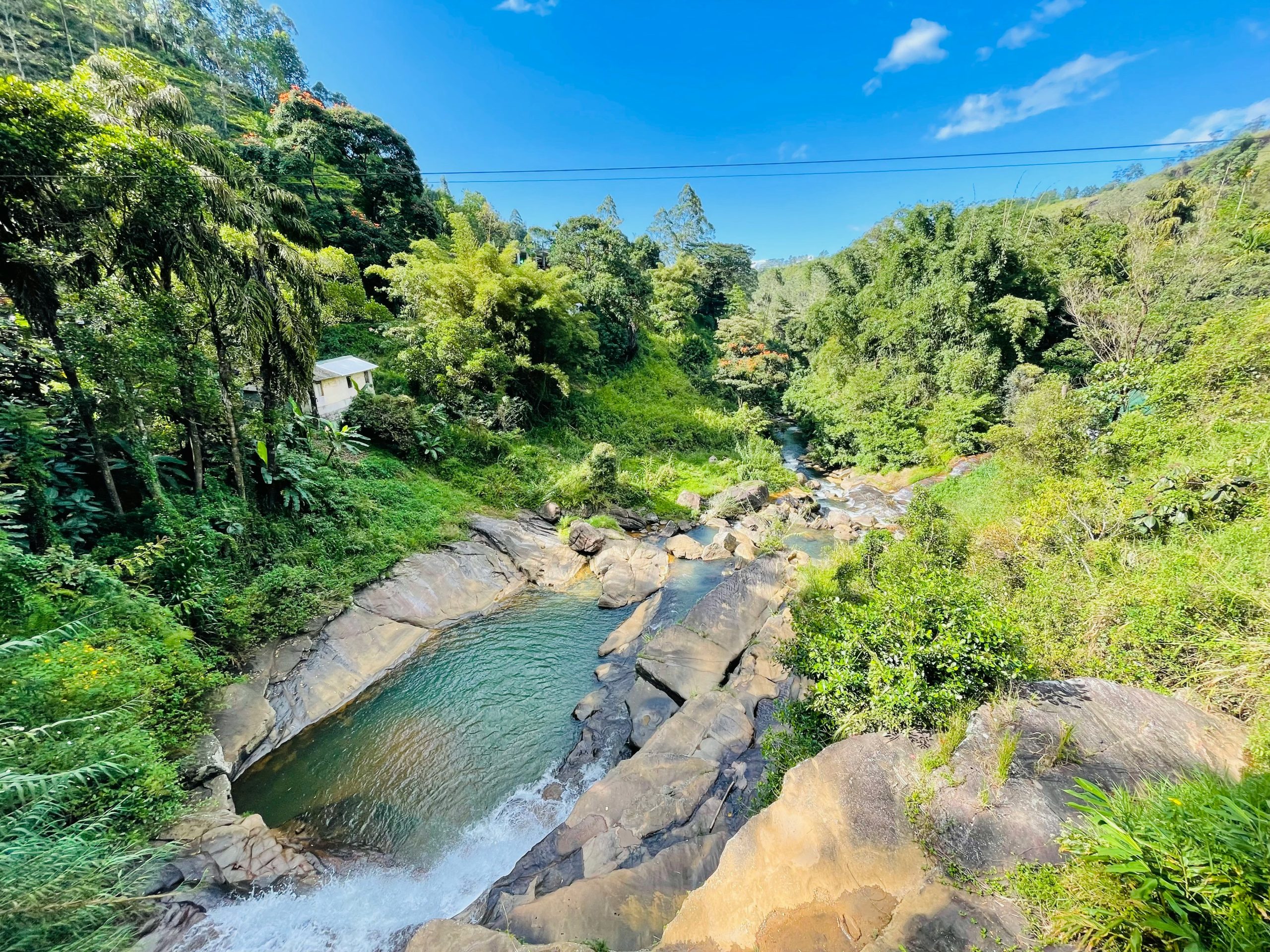 a river running through a lush green forest
